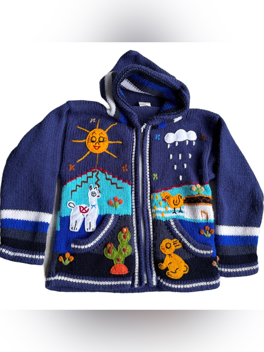 Blue Kids Hooded Hand Knit Sweater from Peru with Playful Animal Embroidery